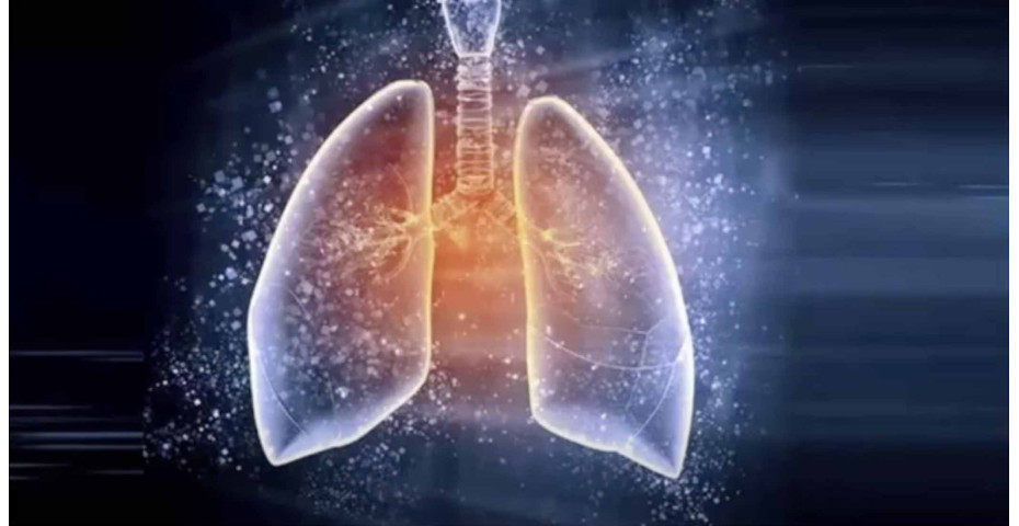 Quali sono i meccanismi di difesa messi in atto nell'apparato respiratorio?