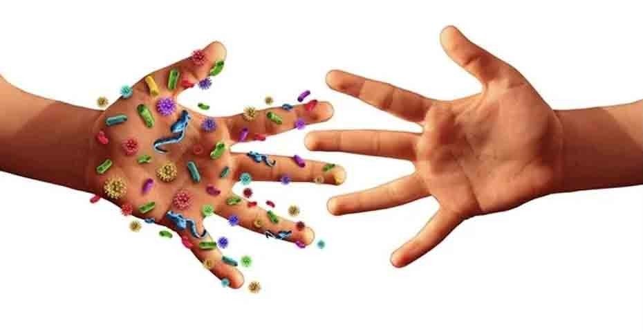 Malattie infettive, Panoramica