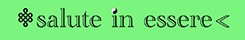 saluteinessere